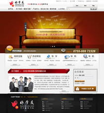 耐思尼克免費建站 深圳企業(yè)網(wǎng)站建設(shè)精選案例集